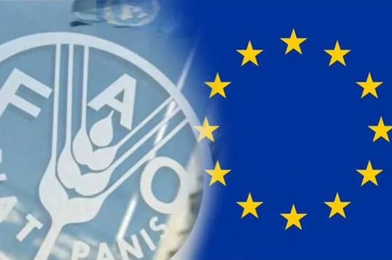 National strategic plan for the management of tomato