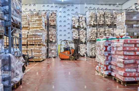 Guidelines for cold/chilled rooms of meat and meat products/warehouse for the purpose of registration